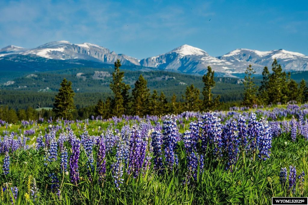 Photo of Muddy Guard MUDDY GUARD, Buffalo, WY 82834 (MLS # 20251780)