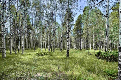 Photo of Lot 620 Starwallow #6 Road, Casper, WY 82601 (MLS # 20264485)