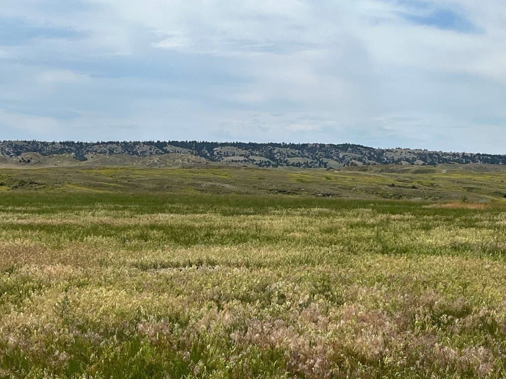 Photo of 25 Gosney Road, Kaycee, WY 82639 (MLS # 20260688)