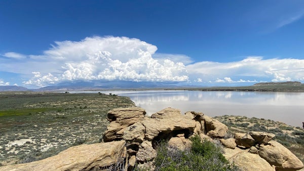 US-26, SHOSHONI, WY 82649 - Image 91c8bbf1d039d80cacce2015d8277c1e/3889980672