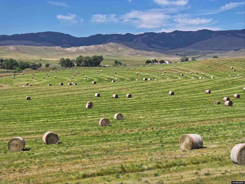 Photo of 77 Sand Creek Ranch Road, Buffalo, WY 82834 (MLS # 20253472)