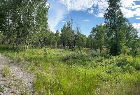 Photo of 176 Creek Circle, Star Valley Ranch, WY 83127 (MLS # 20262230)