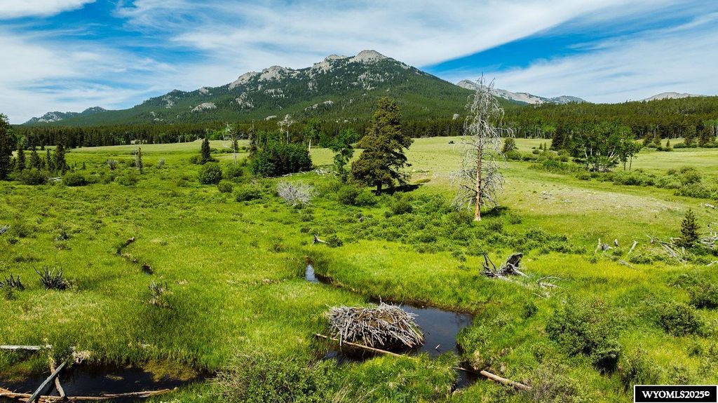 Photo of Hazelton Road, Buffalo, WY 82834 (MLS # 20254350)