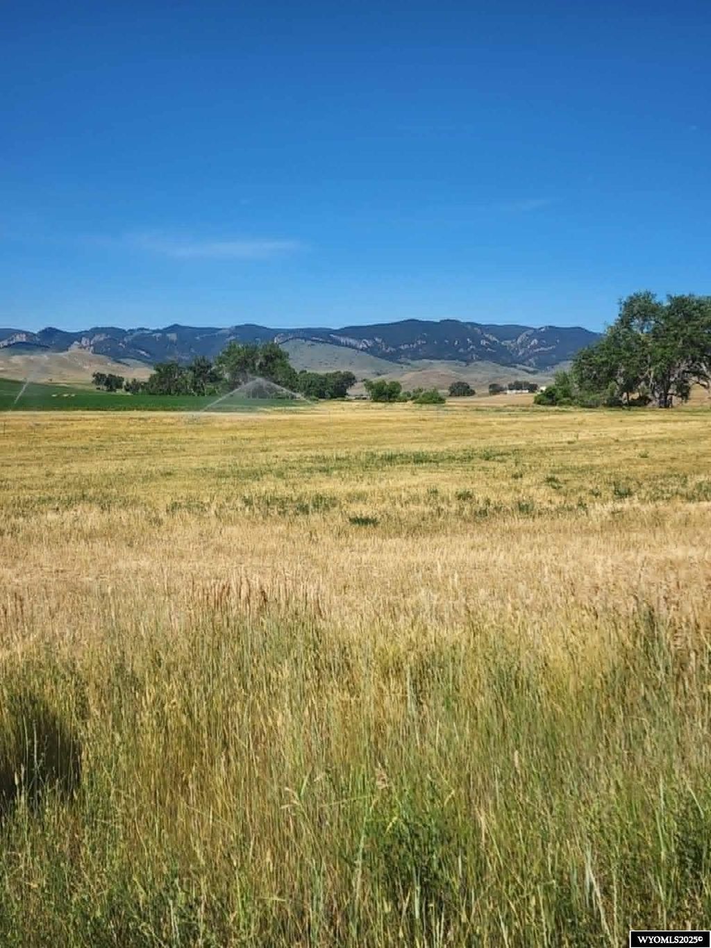 Photo of 8 Headquarters Lane, Buffalo, WY 82834 (MLS # 20253743)