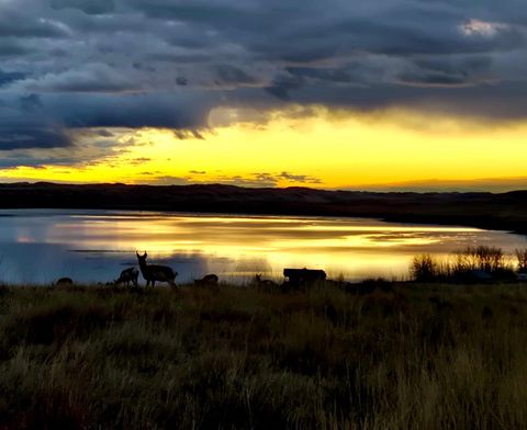 Photo of Lot 68 Shoreline Drive, Buffalo, WY 82834 (MLS # 20260855)