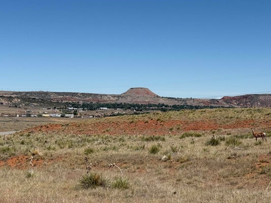RED LN, THERMOPOLIS, WY 82443 - Image fcfd29b3d856d4bf5eac998e991c97d4/4053362659