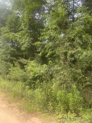 E ST, DALEVILLE, AL 36322 - Image 26f8fb2fe86139f068e2af0f0c8d64c3/3286604490