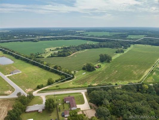454 COUNTY RD 22, HEADLAND, AL 36345 - Image 2f7f6d35ba0adf03050af75dccdfd4a3/1534268339