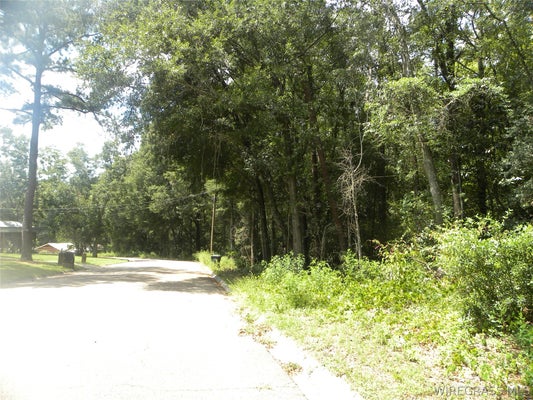 PINE AVE, OZARK, AL 36360 - Image 4b75b0653d9da82a7bccc8c6868a2bb4/3192458735