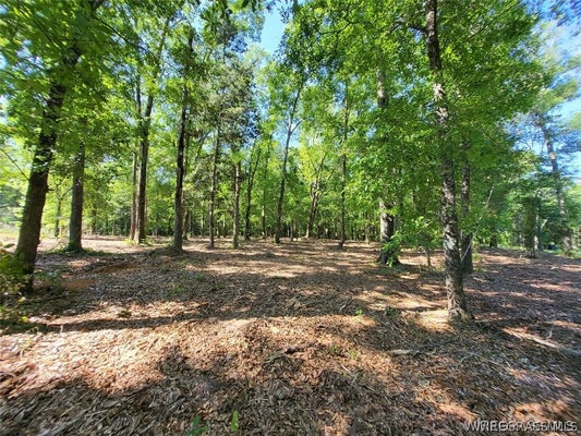 102 PRESERVE DR, NEW BROCKTON, AL 36351 - Image a4e4e8dc10d536da544f9114e1f3fdb4/4007321029