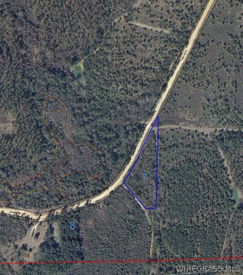 LINZY RD, RIVER FALLS, AL 36421 - Image b43cbb6b0e410ca1809e069c8d429edc/2865849338