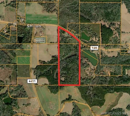 4496 AL HIGHWAY 130, BANKS, AL 36005 - Image c72bd74e0cdf4e0ef711902ef97be804/1050716359