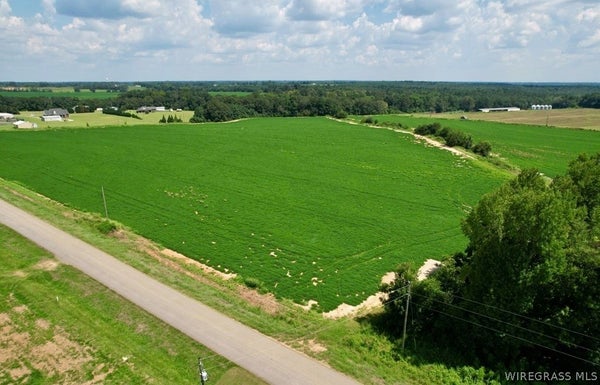 JUDGE LOGUE RD, NEWTON, AL 36352 - Image ee930b99970f7757ad0eca6561baa59e/642540091