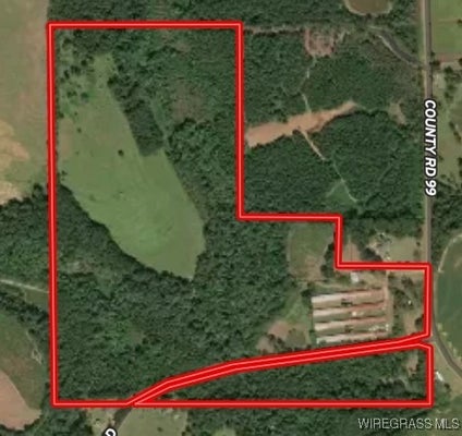 COUNTY RD 99, CHANCELLOR, AL 36316 - Image fa7e4e037ff6bde7408b30a9d8d8f189/459264211