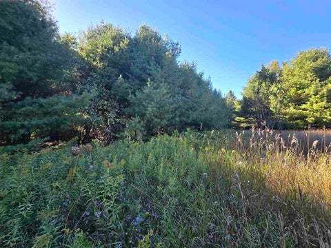 Photo for 10534 Sunset Drive