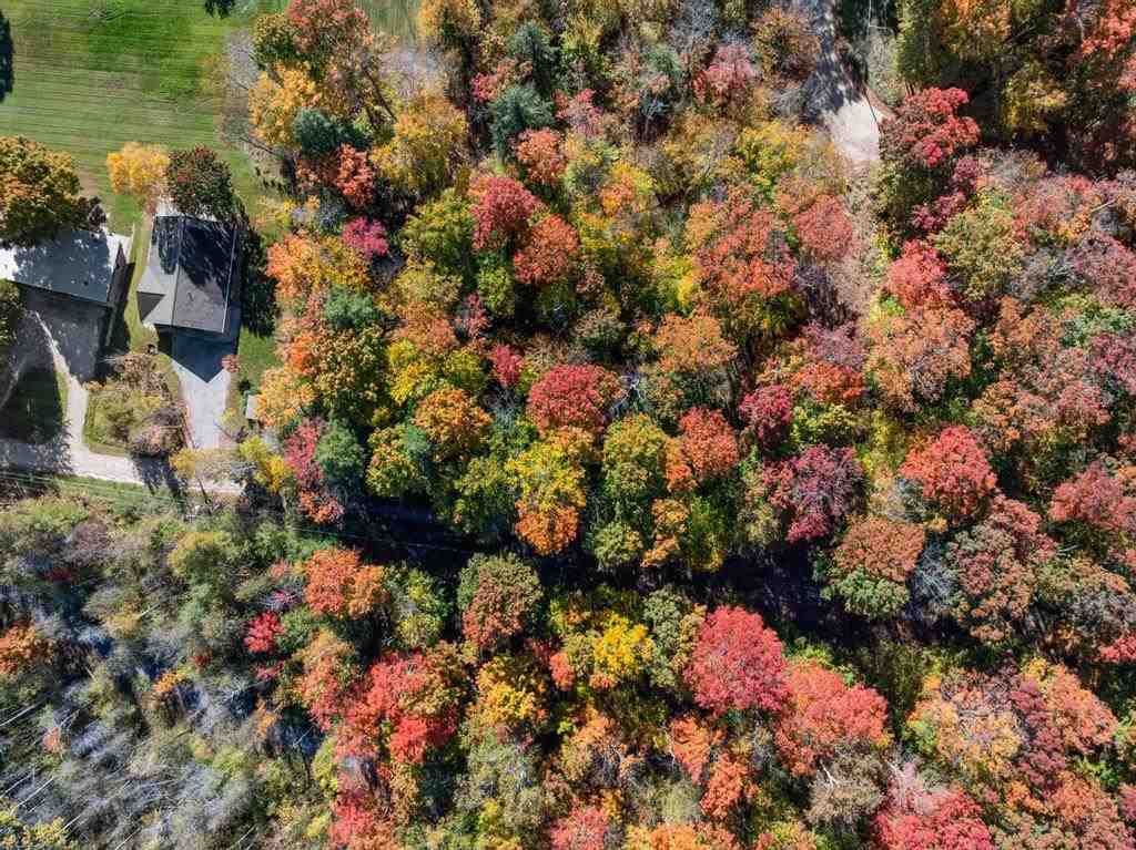 Charlevoix, Michigan 49720, United States, ,Land,Active,230676