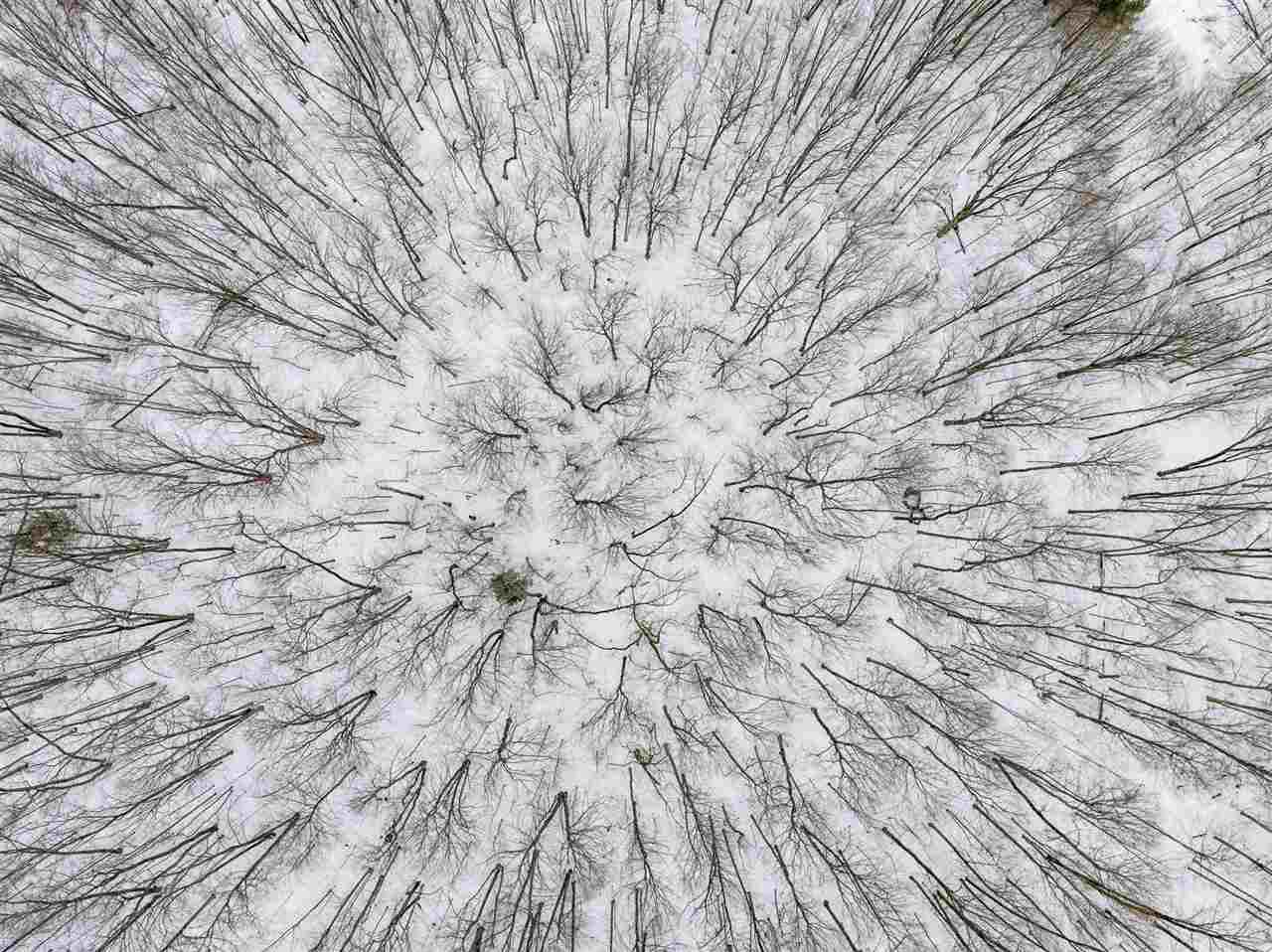 Charlevoix, Michigan 49720, United States, ,Land,Active,27138