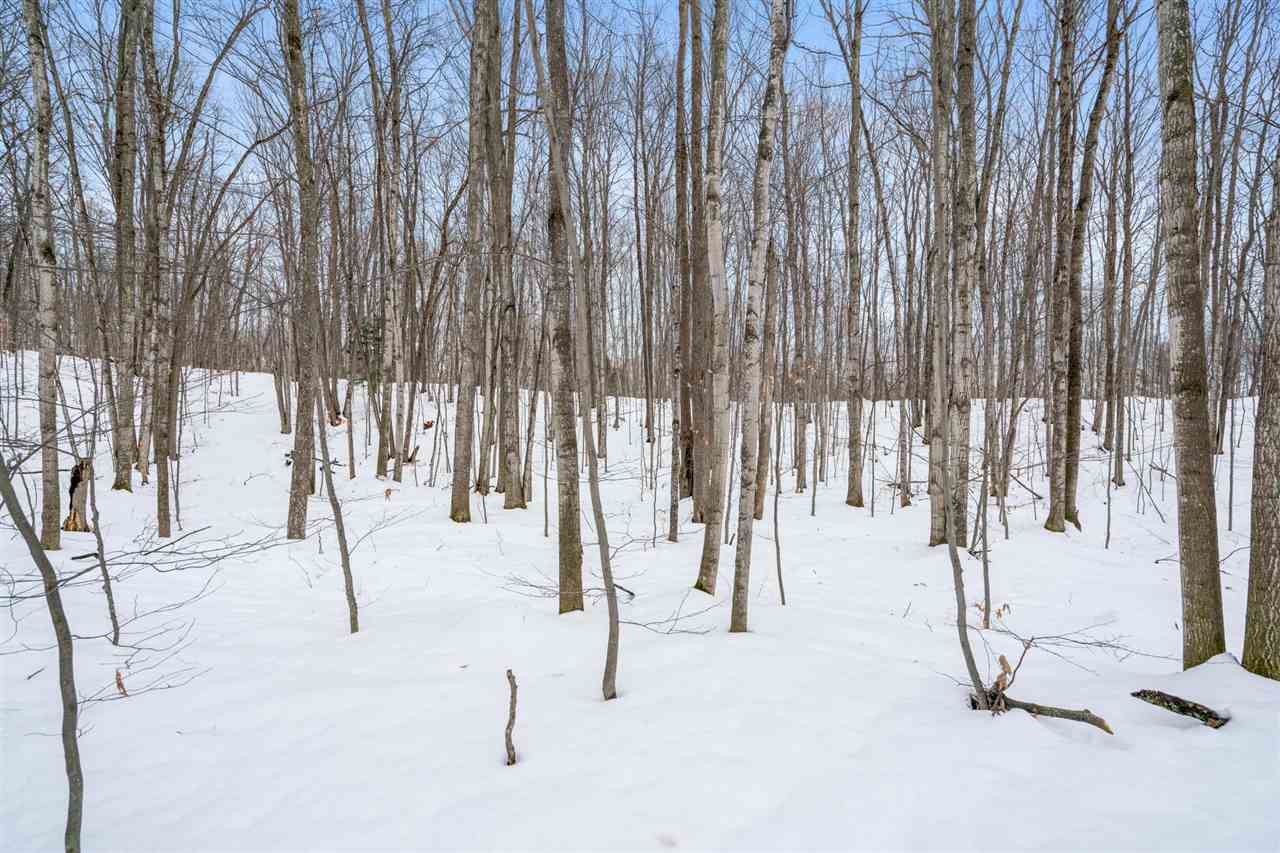 Charlevoix, Michigan 49720, United States, ,Land,Active,27138