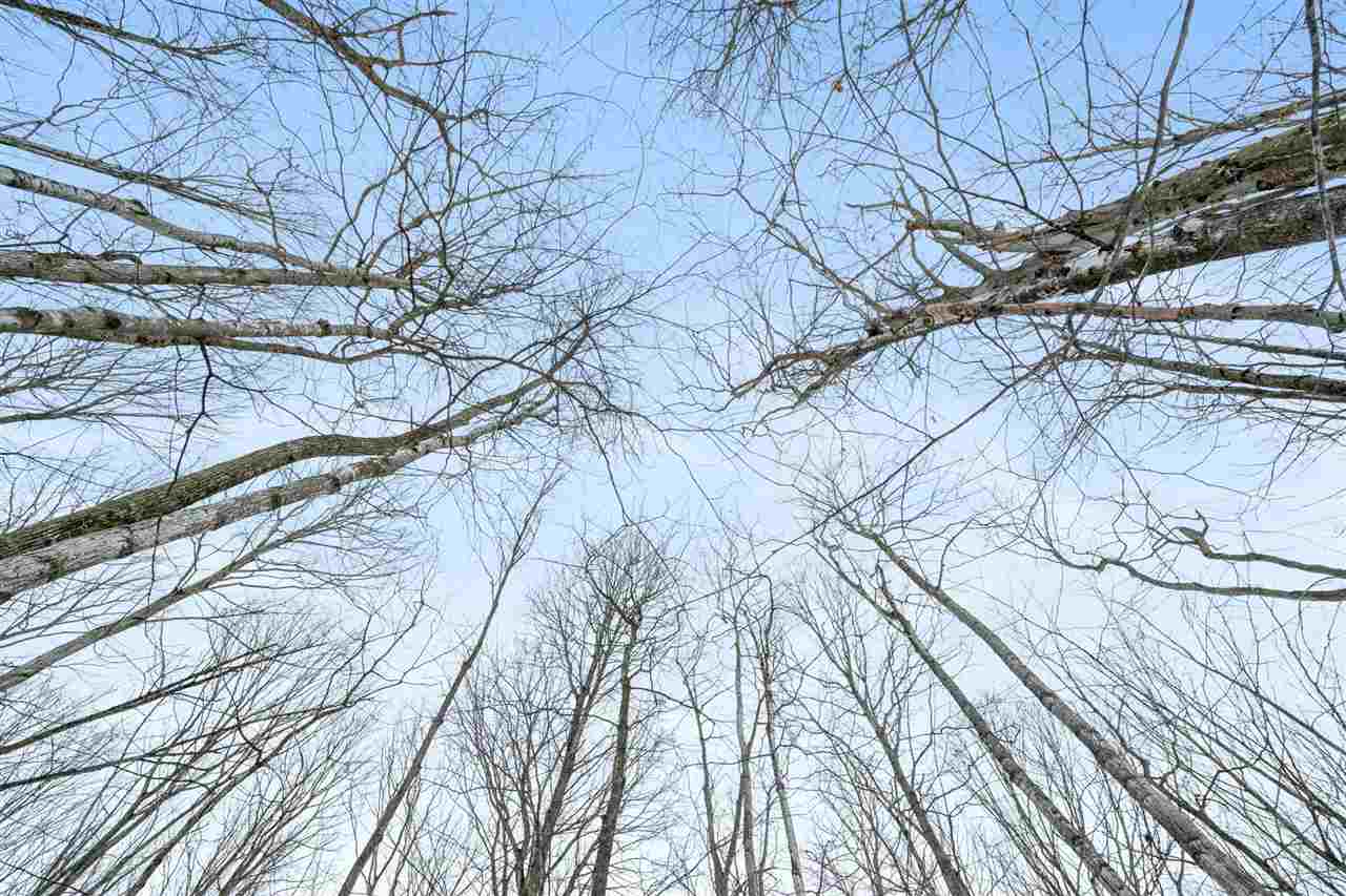 Charlevoix, Michigan 49720, United States, ,Land,Active,27138