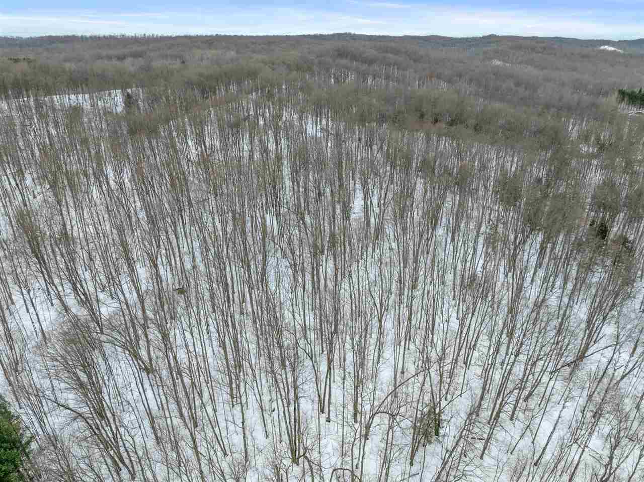 Charlevoix, Michigan 49720, United States, ,Land,Active,27138