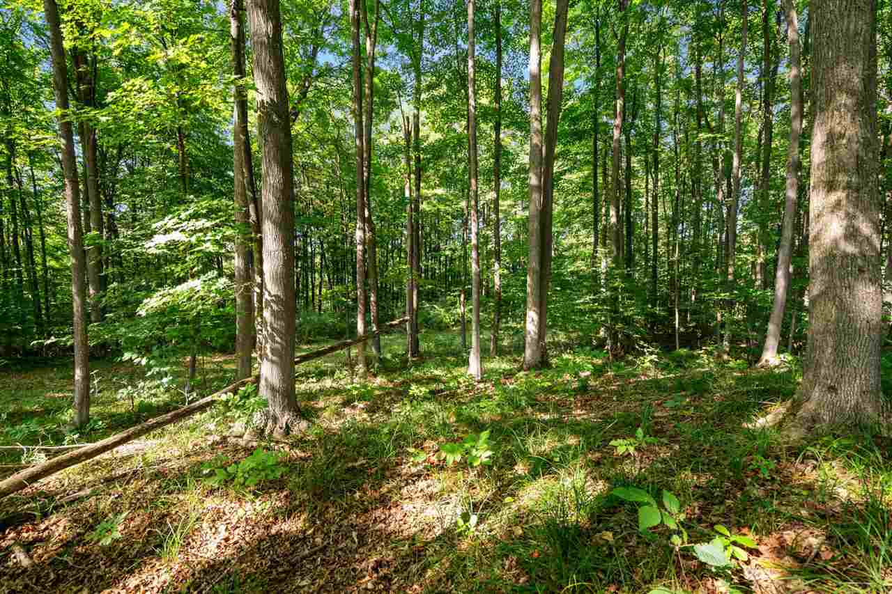 TBD Alden Meadows Drive