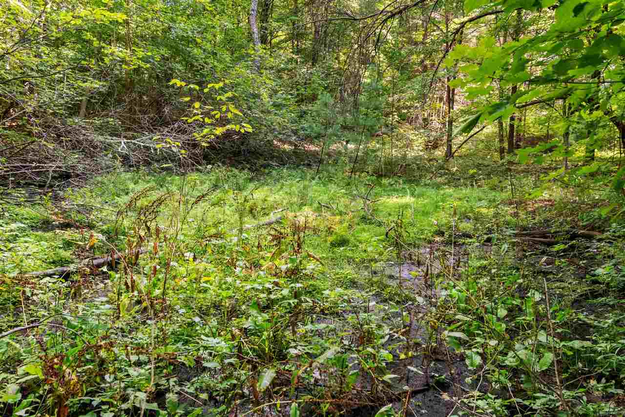 TBD Alden Meadows Drive