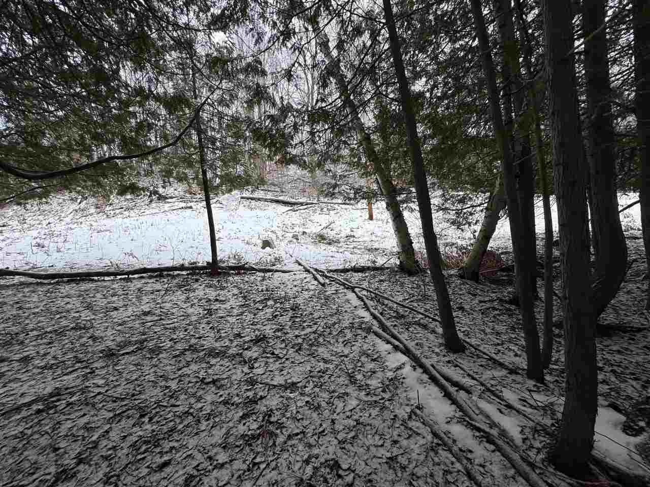 Boyne City, Michigan 49712, United States, 2 Bedrooms Bedrooms, ,2 BathroomsBathrooms,Residential,Active,28386