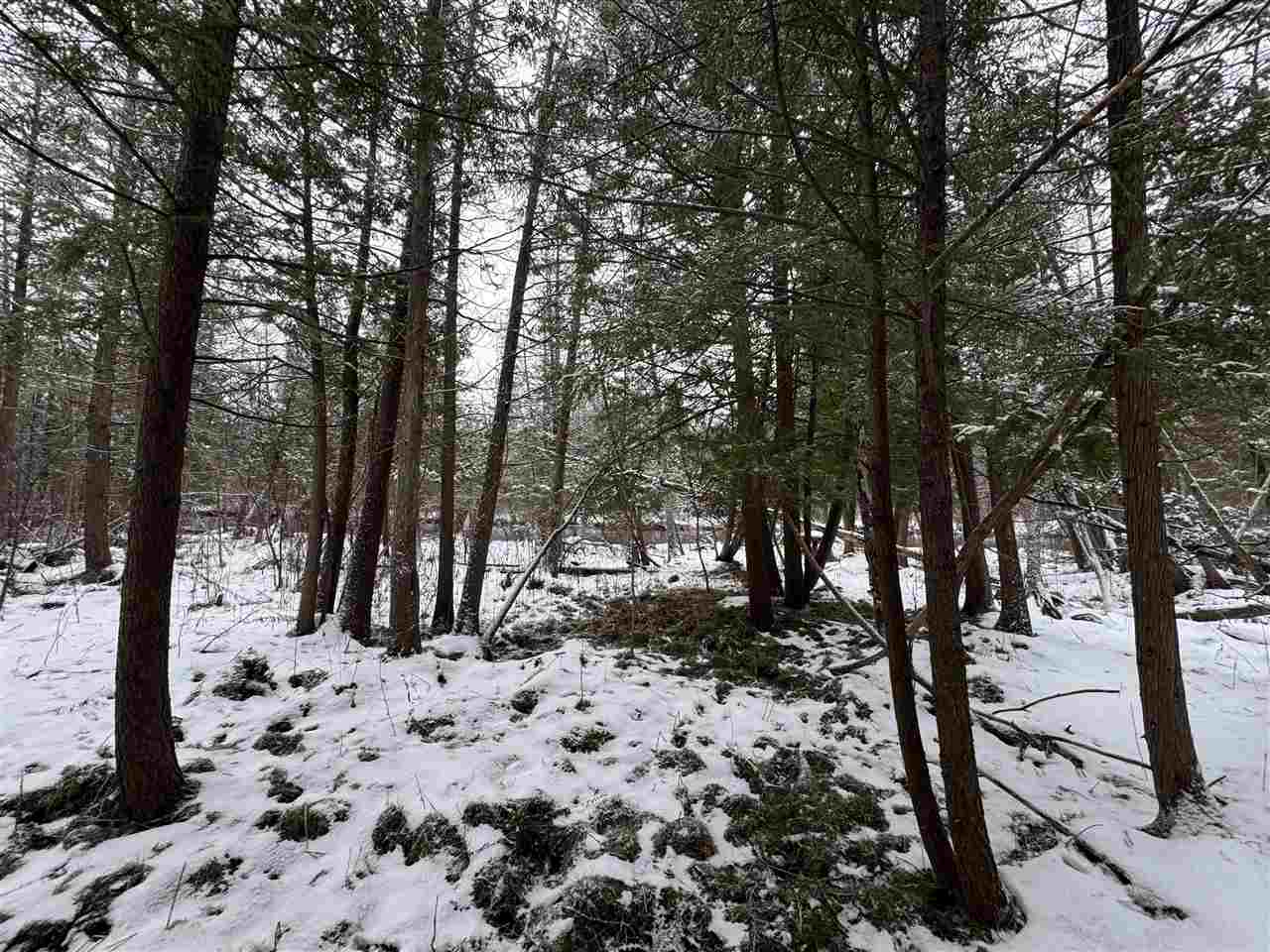 Boyne City, Michigan 49712, United States, 2 Bedrooms Bedrooms, ,2 BathroomsBathrooms,Residential,Active,28386