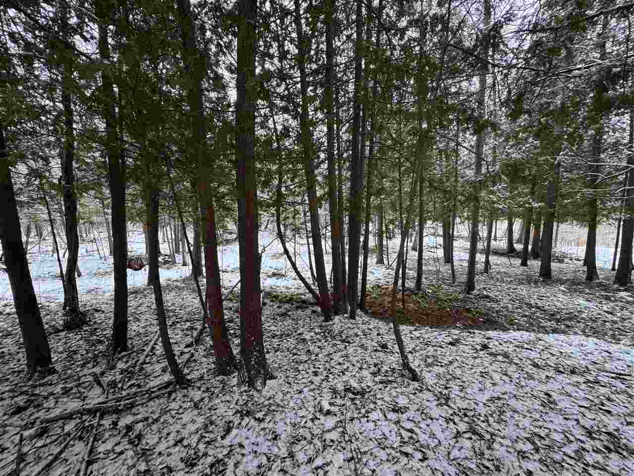 Boyne City, Michigan 49712, United States, 2 Bedrooms Bedrooms, ,2 BathroomsBathrooms,Residential,Active,28386