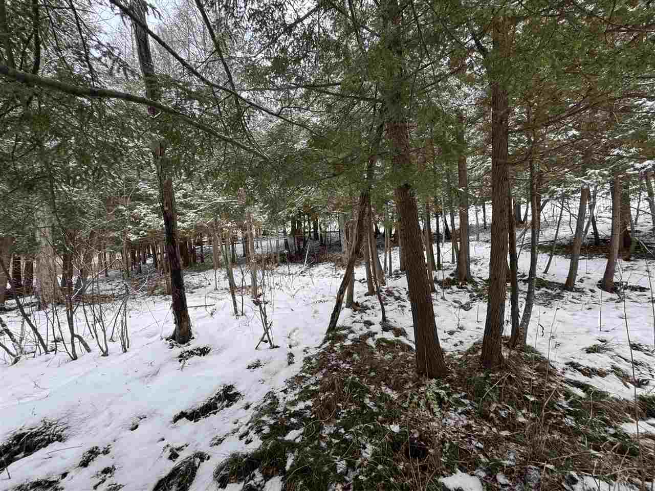 Boyne City, Michigan 49712, United States, 2 Bedrooms Bedrooms, ,2 BathroomsBathrooms,Residential,Active,28386