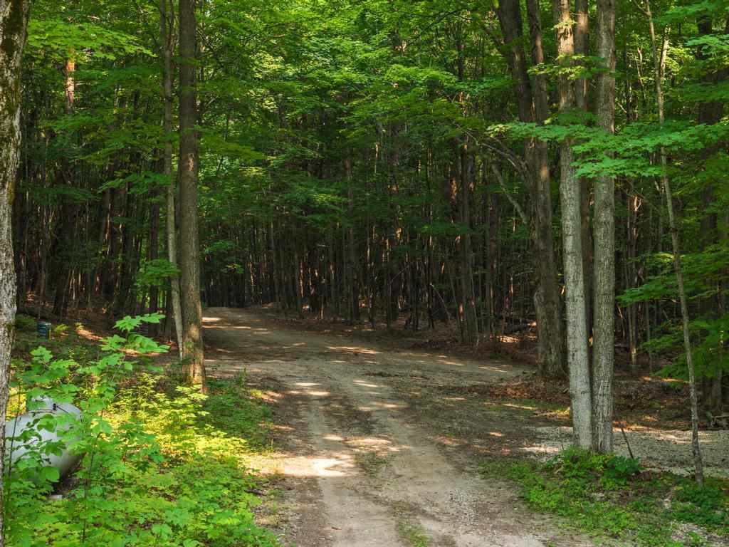 East Jordan, Michigan 49727, United States, 4 Bedrooms Bedrooms, ,3 BathroomsBathrooms,Residential,Active,188249