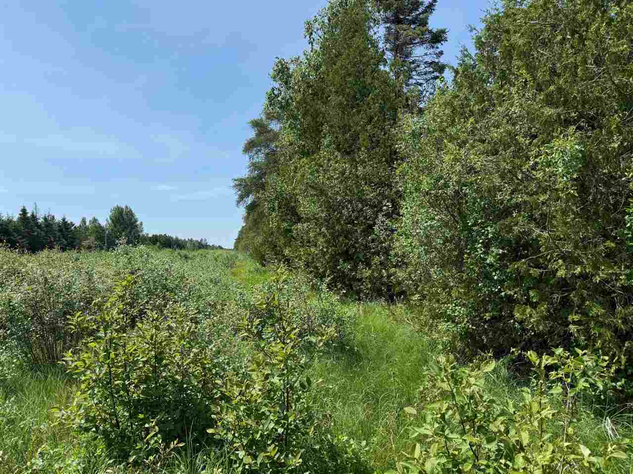 Escanaba, Michigan 49829, United States, ,Land,Active,154020