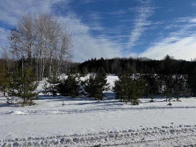 Boyne Falls, Michigan 49713, United States, ,Land,Active,11204