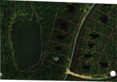 5116 Wildwood Drive Elmira MI 49730