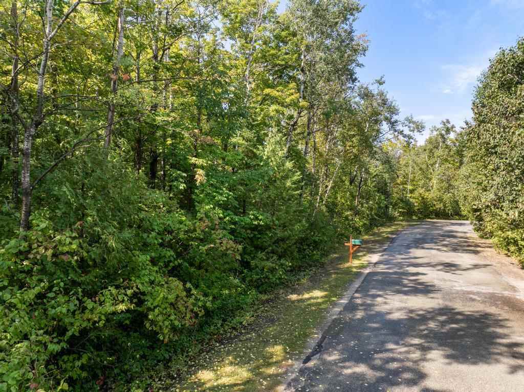 6768 Michigan Shores Drive