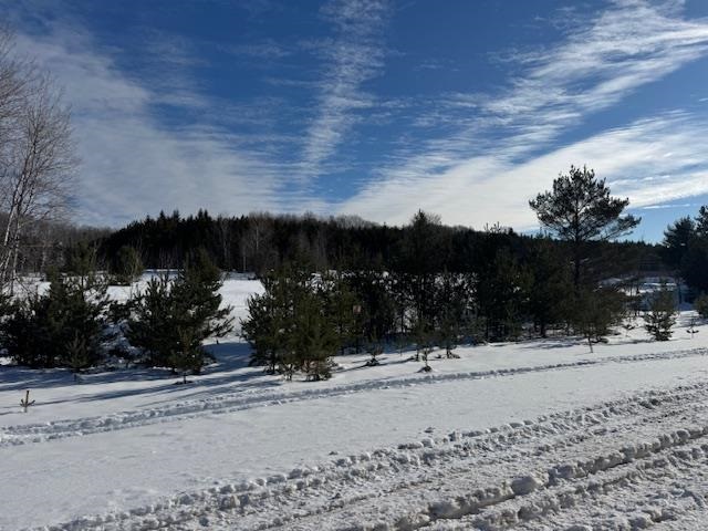 Boyne Falls, Michigan 49713, United States, ,Land,Active,11187