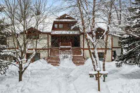 2206 Boyneland Drive Boyne Falls MI 49713