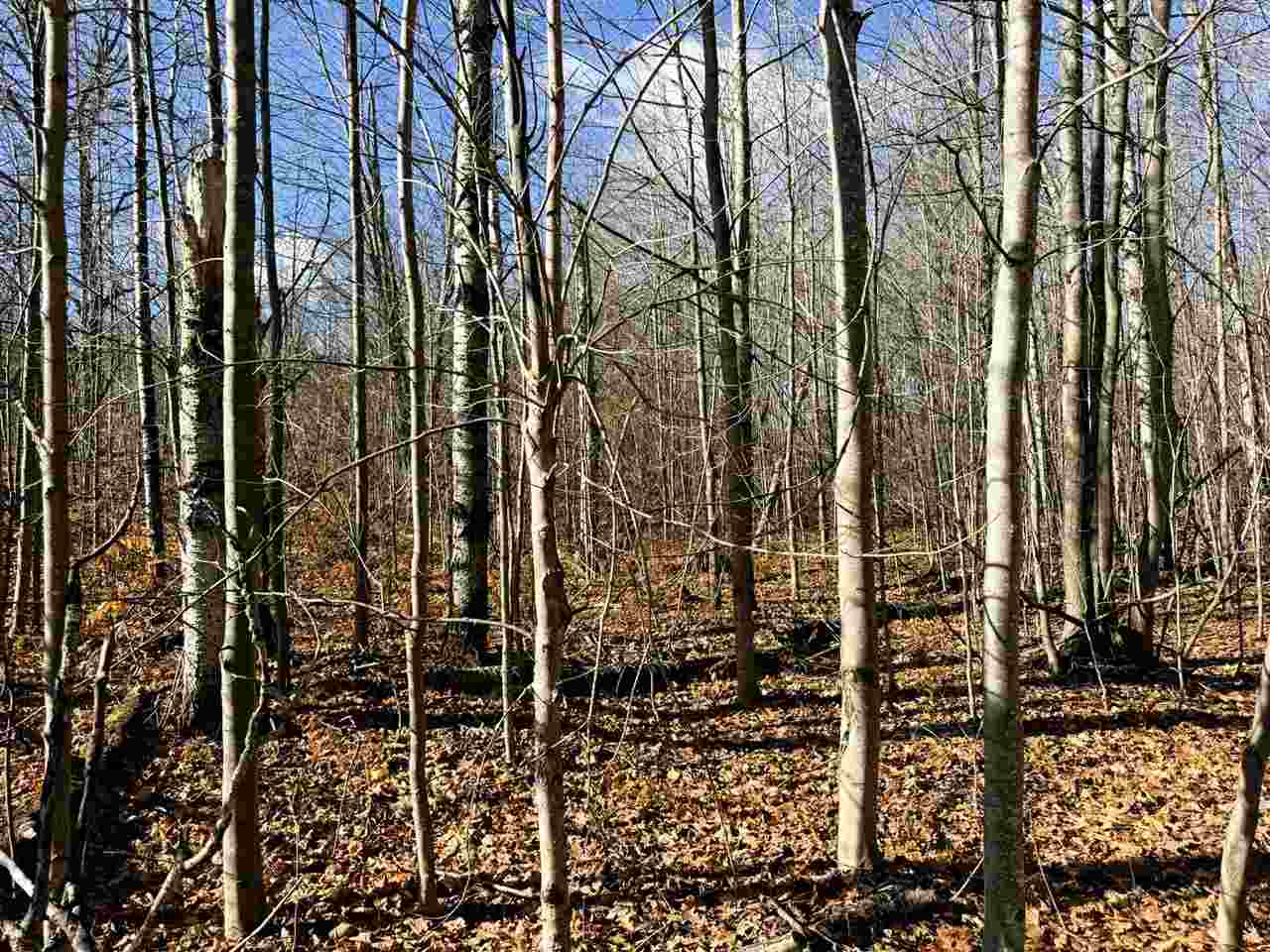 Lot 134 Wilderness Circle