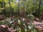 TBD ZMIKLY property photo