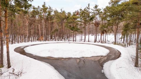 2057 Sanctuary Drive Harbor Springs MI 49740