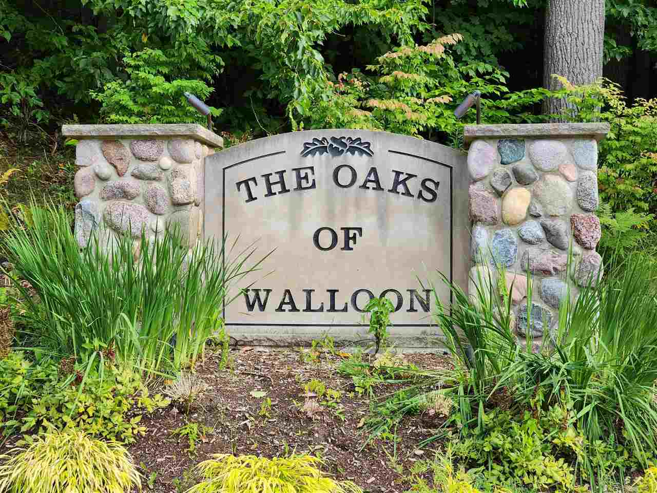 Petoskey, Michigan 49770, United States, ,Land,Active,199483