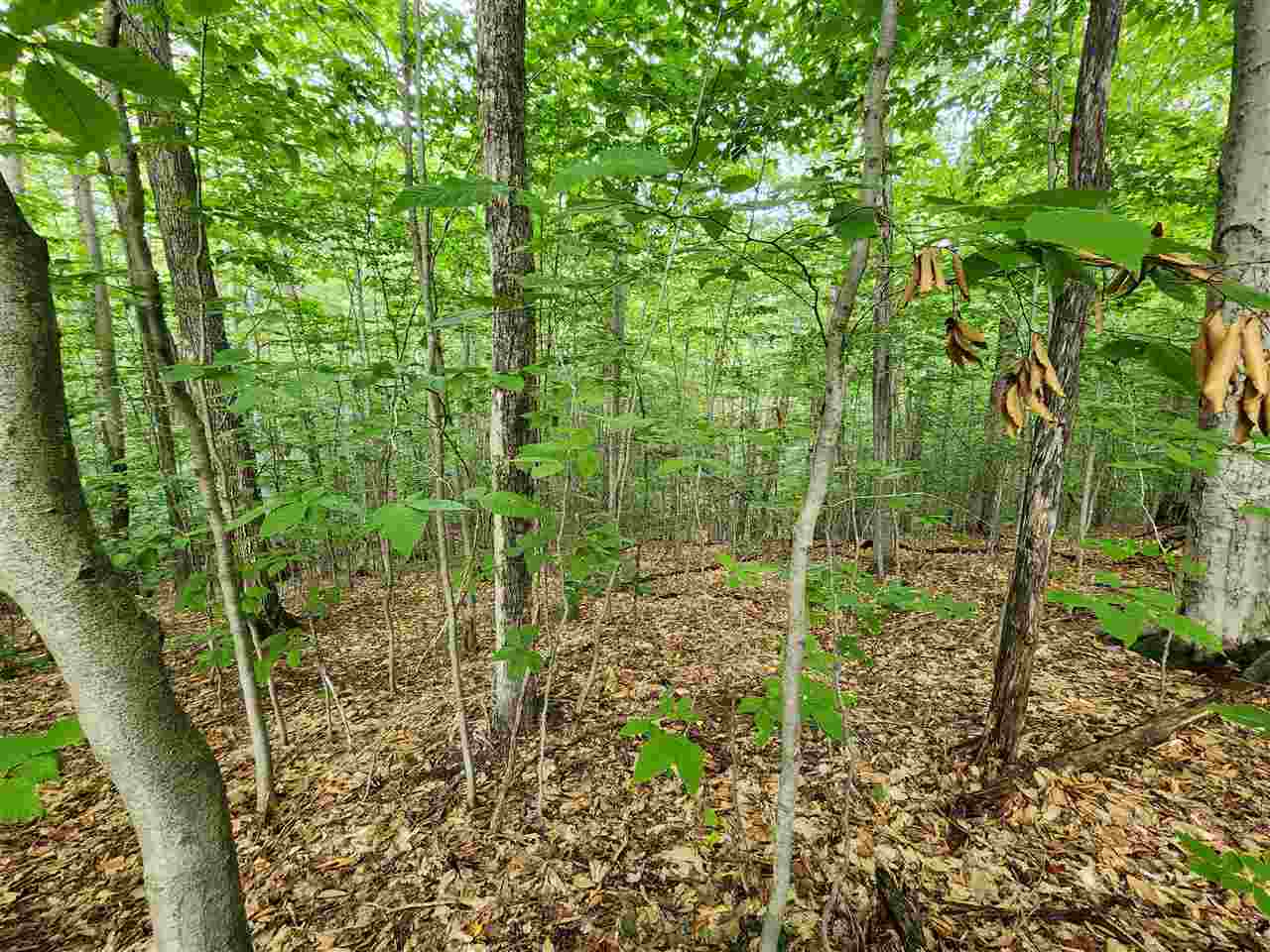 Petoskey, Michigan 49770, United States, ,Land,Active,199483