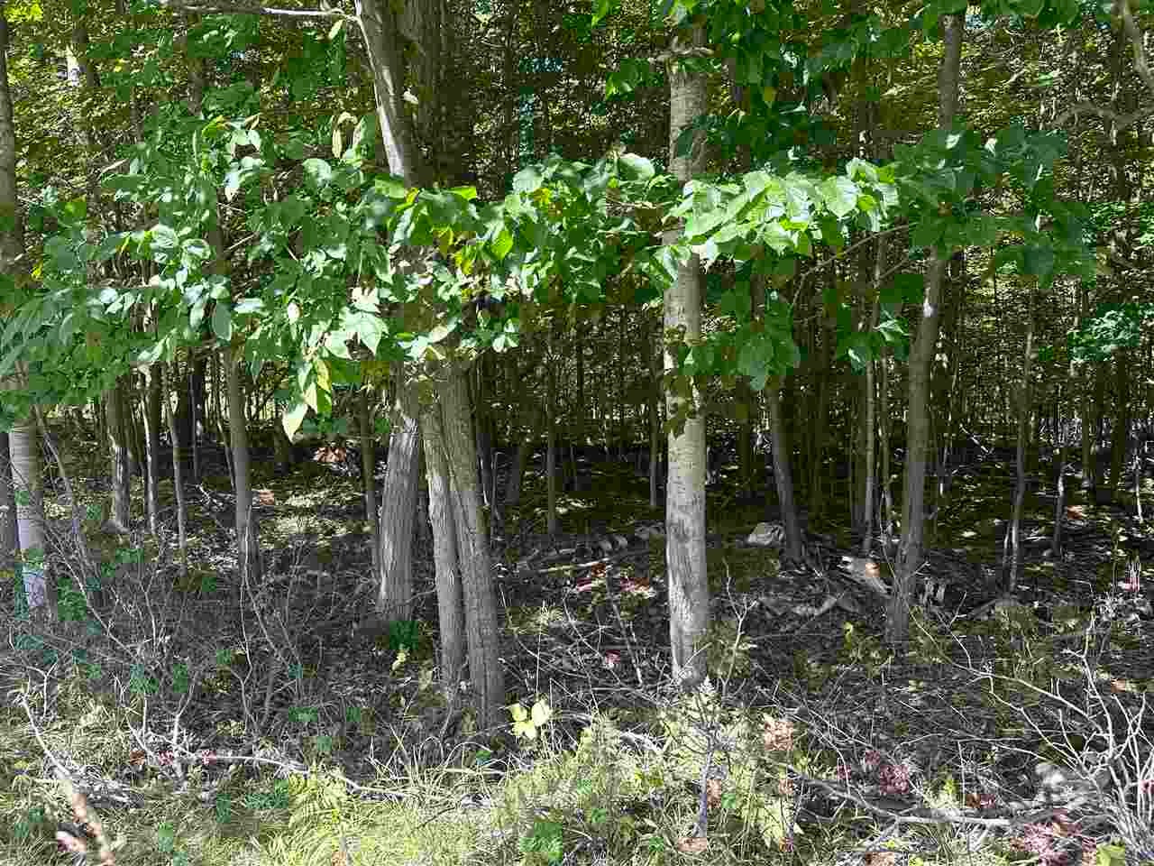 Lot 33,34,35 Bay Colony