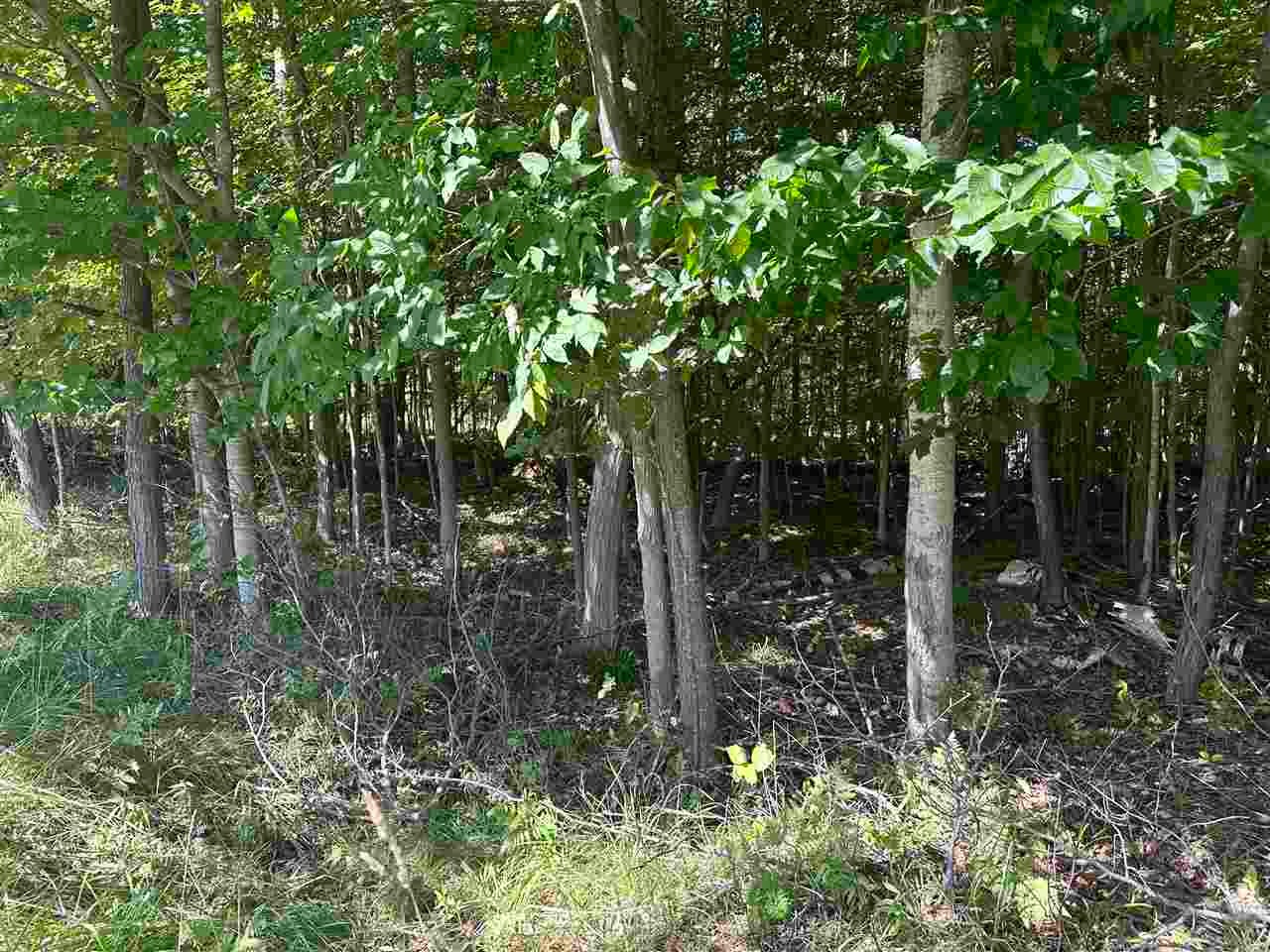 Lot 33,34,35 Bay Colony