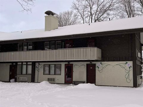 2611 Condo Loop Drive Boyne Falls MI 49713