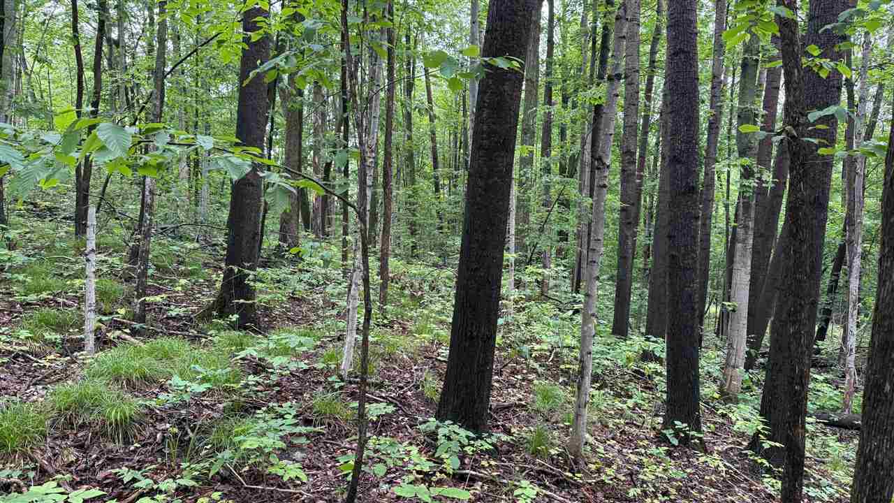 Charlevoix, Michigan 49720, United States, ,Land,Active,174032