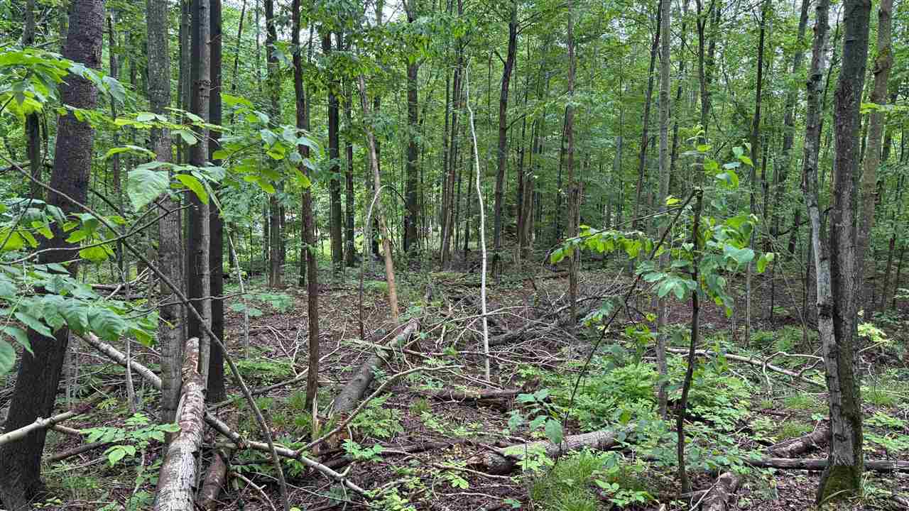 Charlevoix, Michigan 49720, United States, ,Land,Active,174032