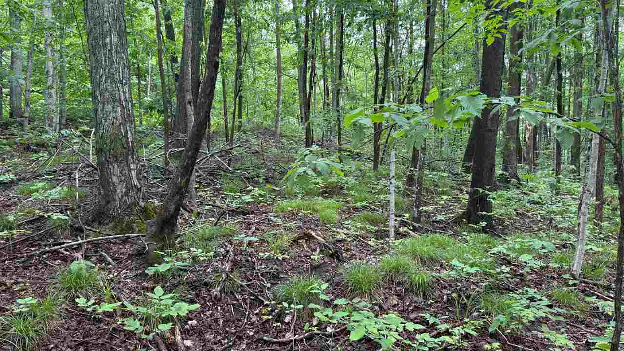 Charlevoix, Michigan 49720, United States, ,Land,Active,174032