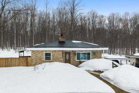 7939 NE Co Road 571 Mancelona MI 49659