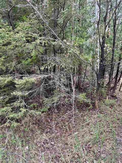 Photo for US 31 N Highway
